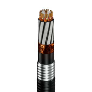 Shawflex CSA and UL certified low voltage cables for nuclear Balance of Plant systems